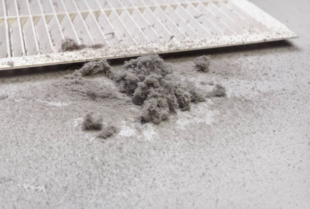 Best Commercial Air Duct Cleaning  in Helemano, HI