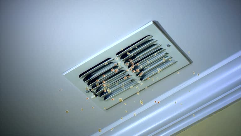 Best Commercial Air Duct Cleaning  in Helemano, HI