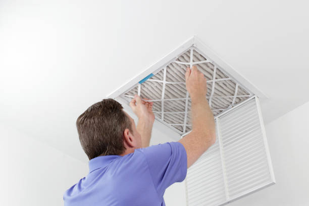 Best Affordable Duct Cleaning Services  in Helemano, HI